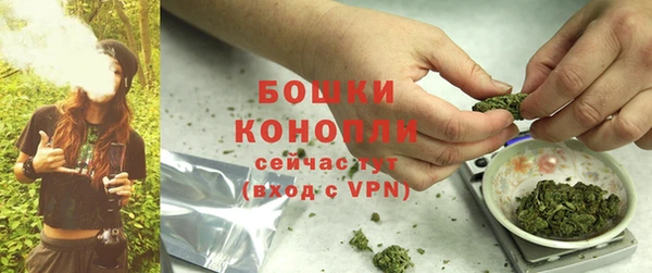 стаф Майский
