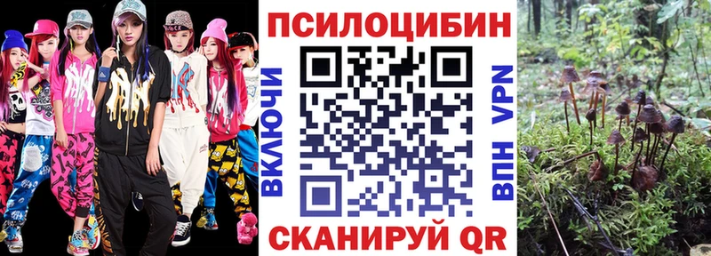Псилоцибиновые грибы мицелий  Купить  Волжск 
